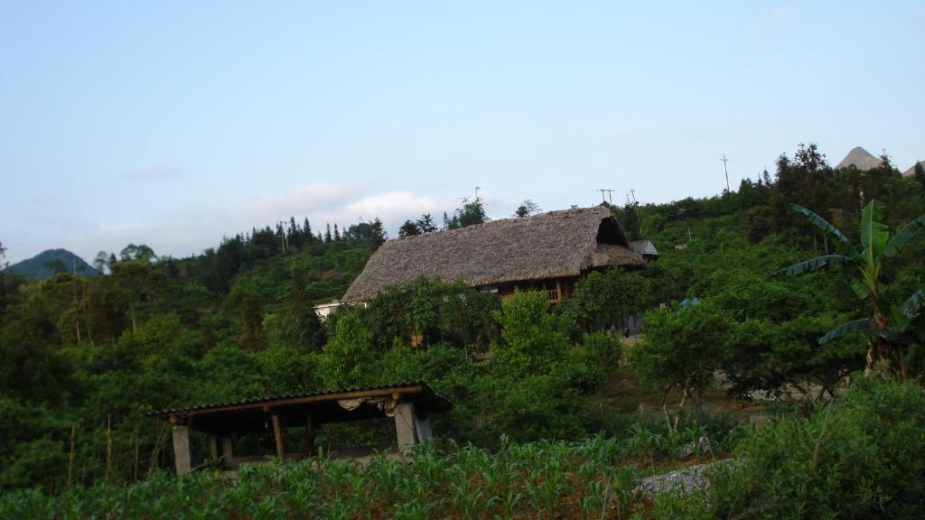 View