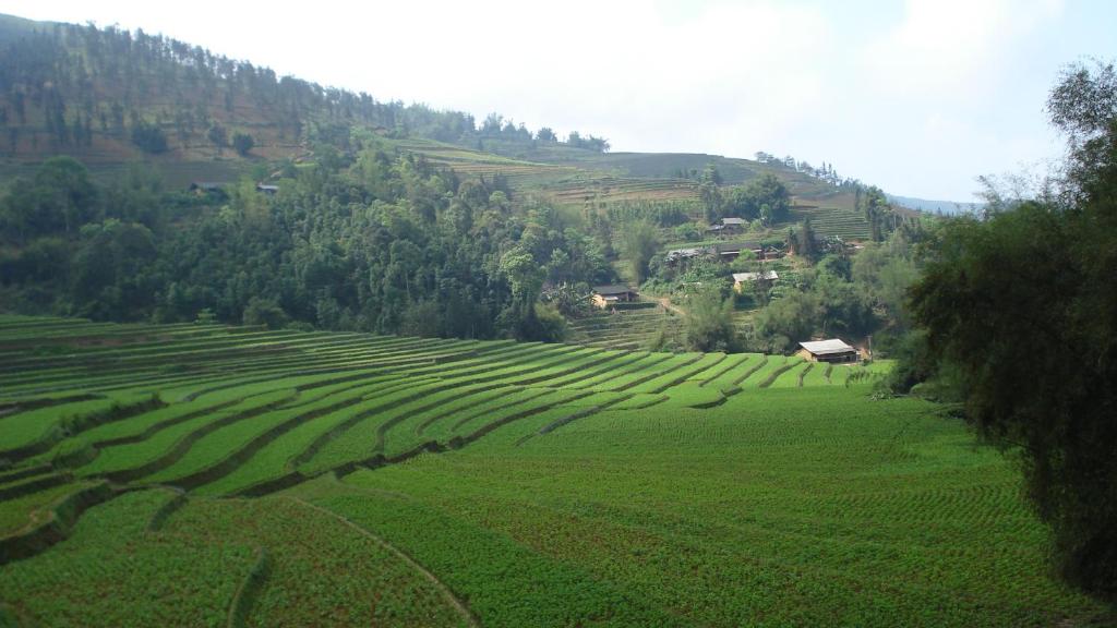 Surrounding environment