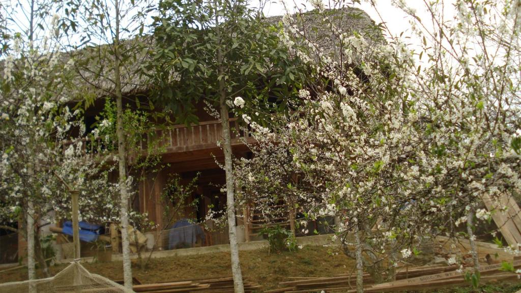 Surrounding environment
