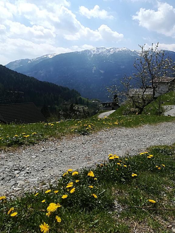 Chalet Catton Two Bedroom Appartement near Bad Kleinkirchheim - 4