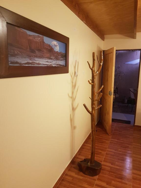 Hostal Ckamai photo