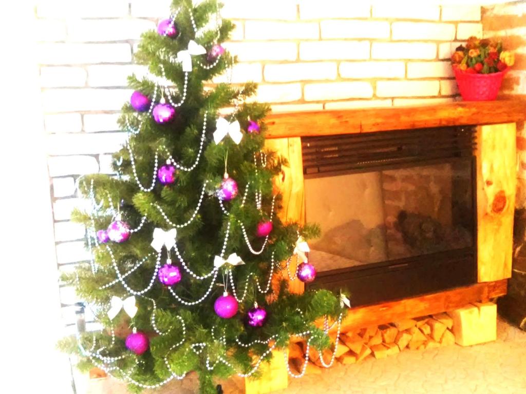 Apartment in the city center mini, Ivano-Frankivsk