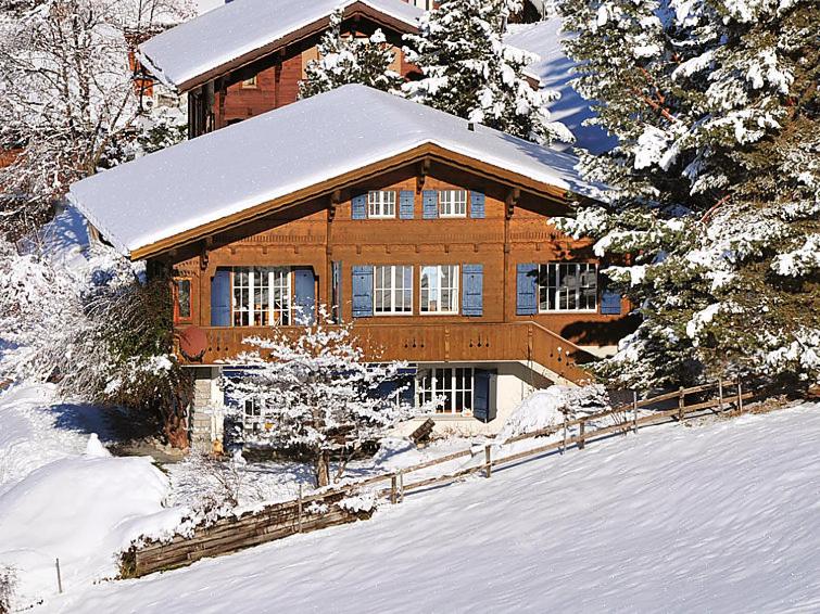 Vacation Rentals and Holiday homes in Wengen, Switzerland of