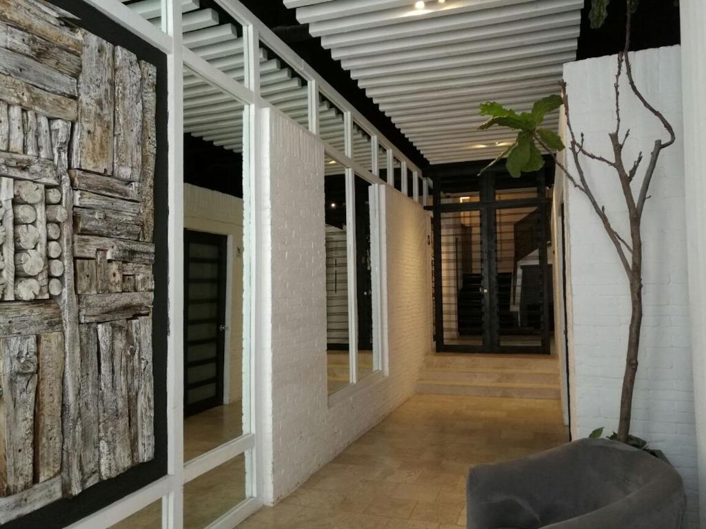 My Place Donceles photo