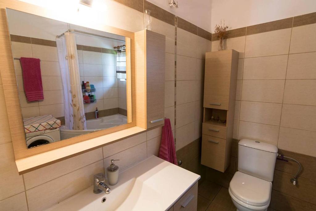 Big family house in Mesochoria village photo