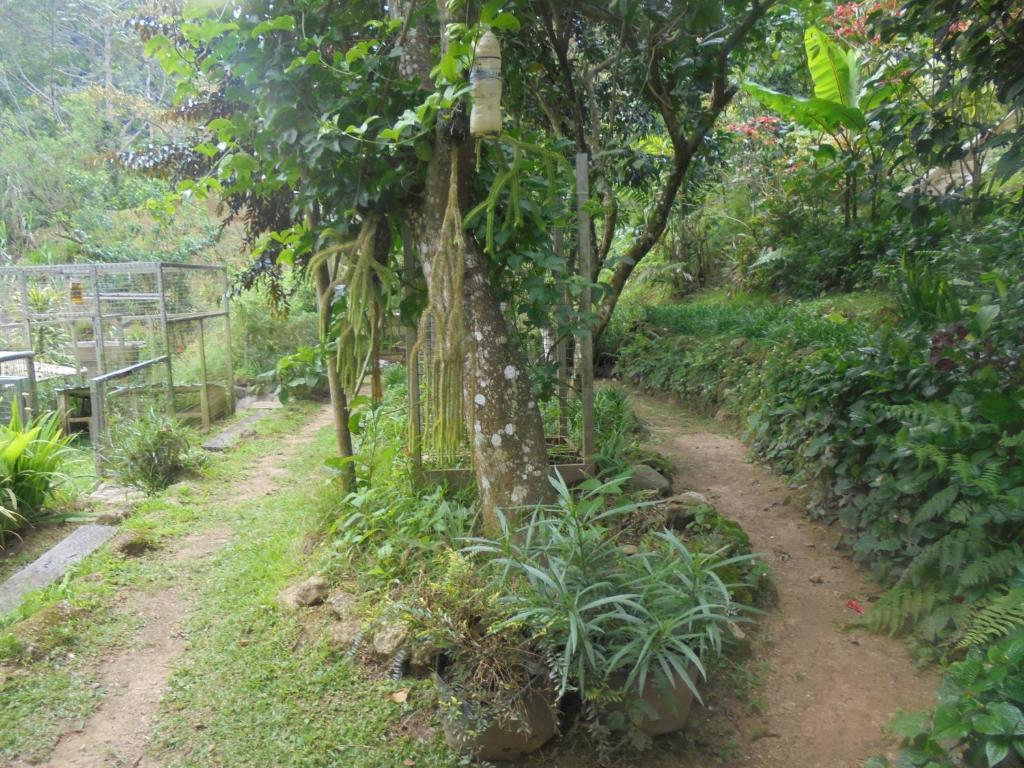 Surrounding environment