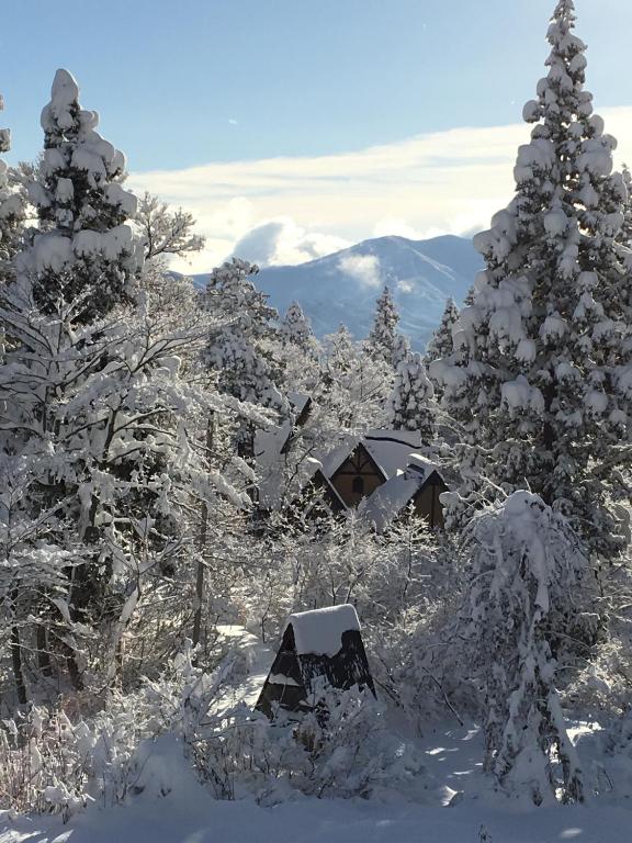 Myoko Ski Lodge, in Akakura Village 호텔 이미지 1