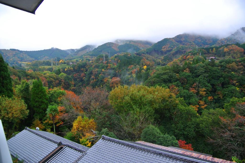 Surrounding environment