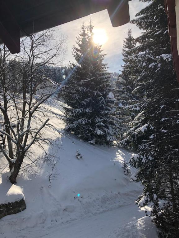 Stara Bačija - 4