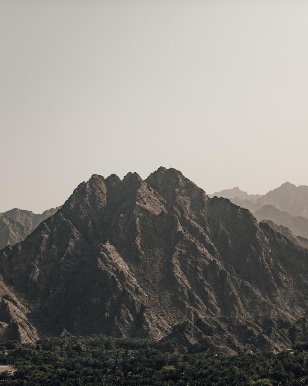 Surrounding environment