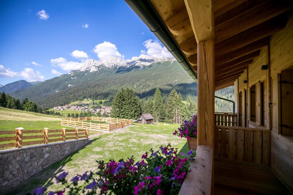 Agriturismo Malga Pie photo