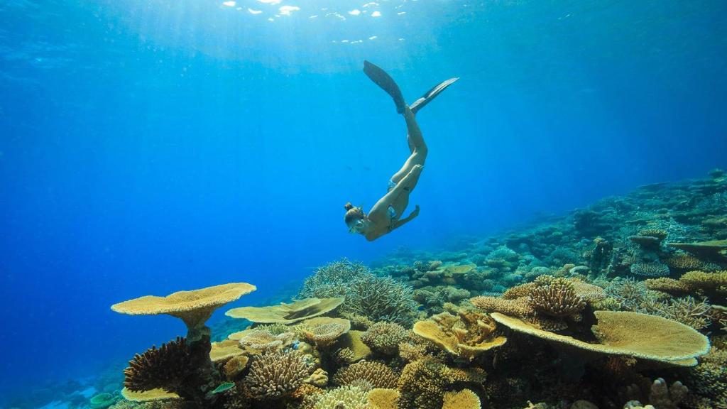 Sports and activities