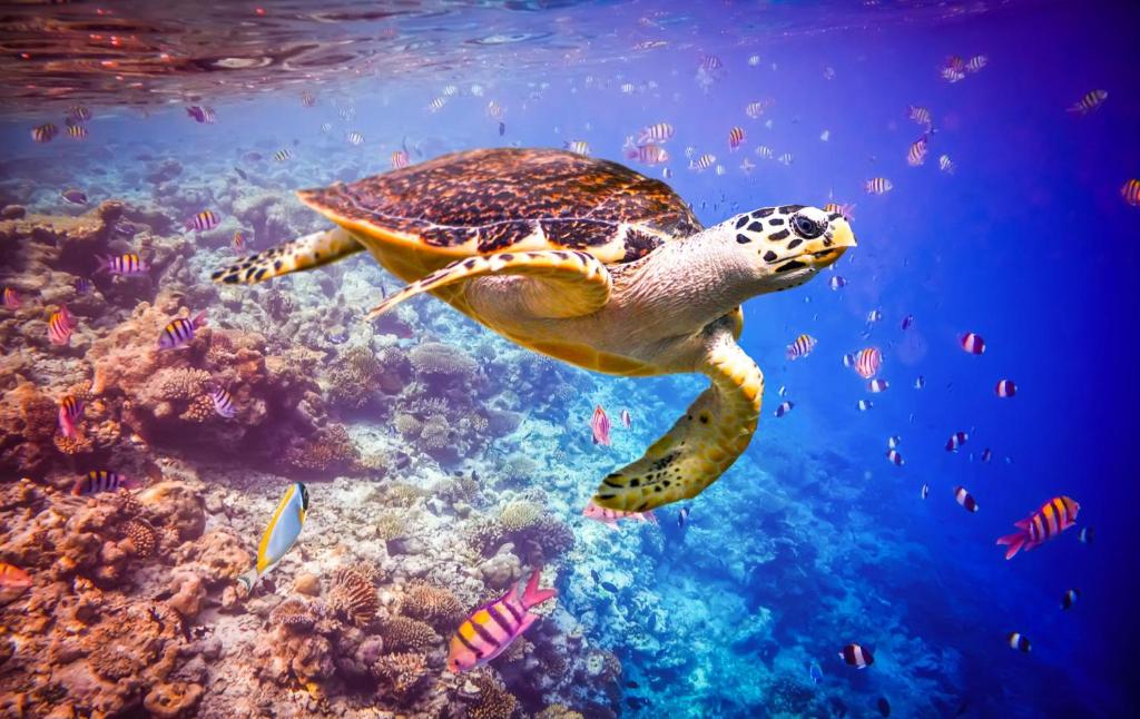 Sports and activities