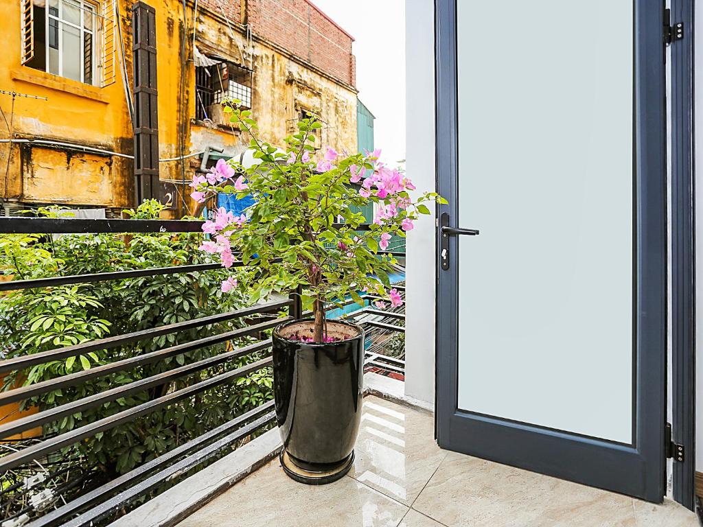 Nyt Home Giảng Võ