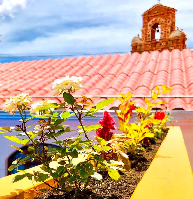 Garden, Hotel Santa Teresa in Potosi