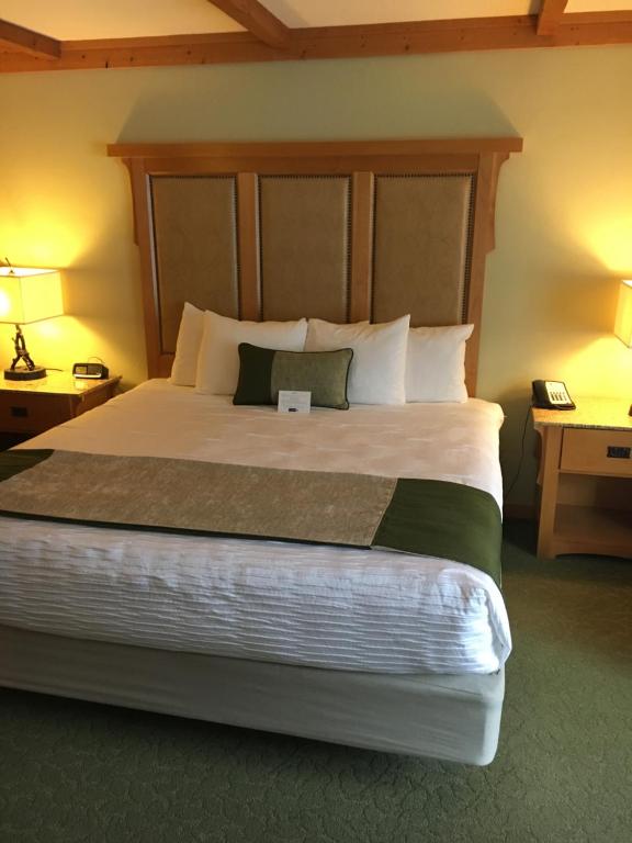 Best Western Premier Brian Head Hotel & Spa Photo 15