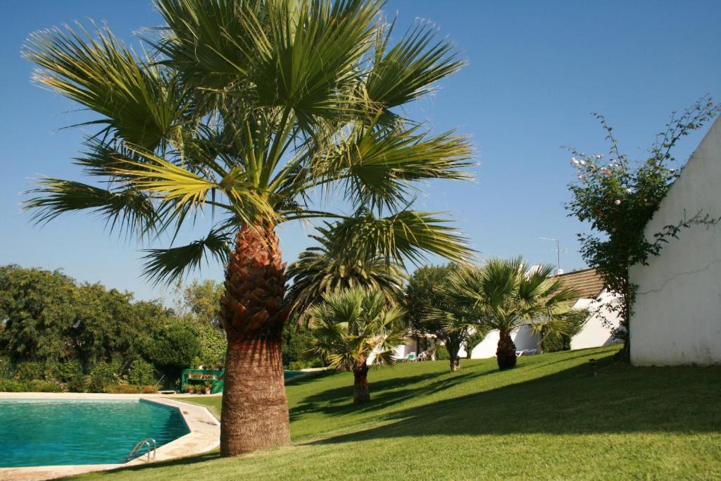 Capitalmoura Mouragolf Village photo