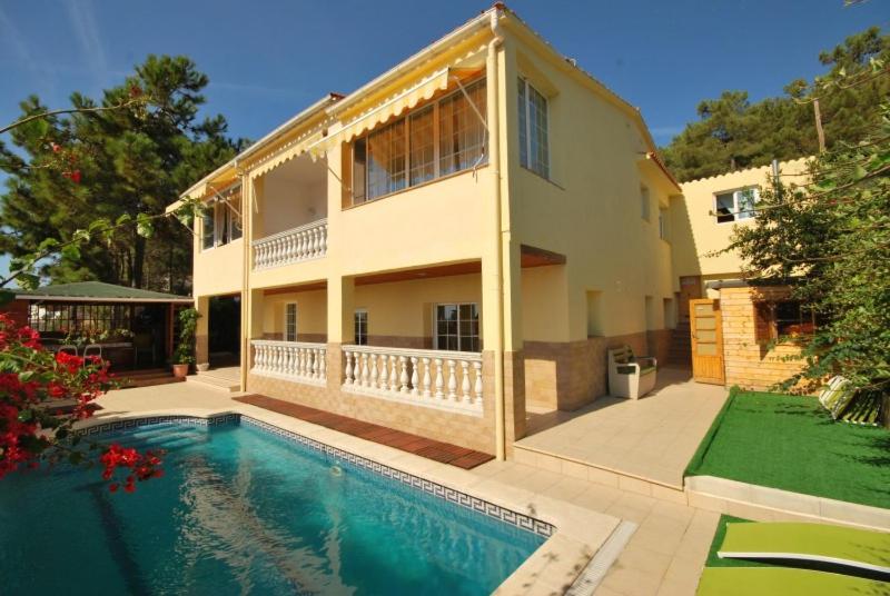 Palmeral - 1