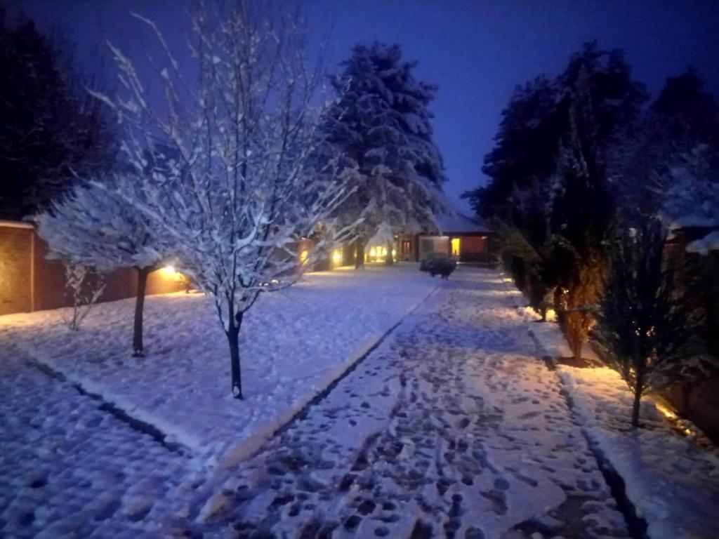 AVALA house photo