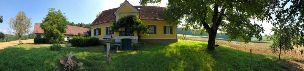 Erzherzog-Johann Ferienhaus mit besonderem Flair - 2