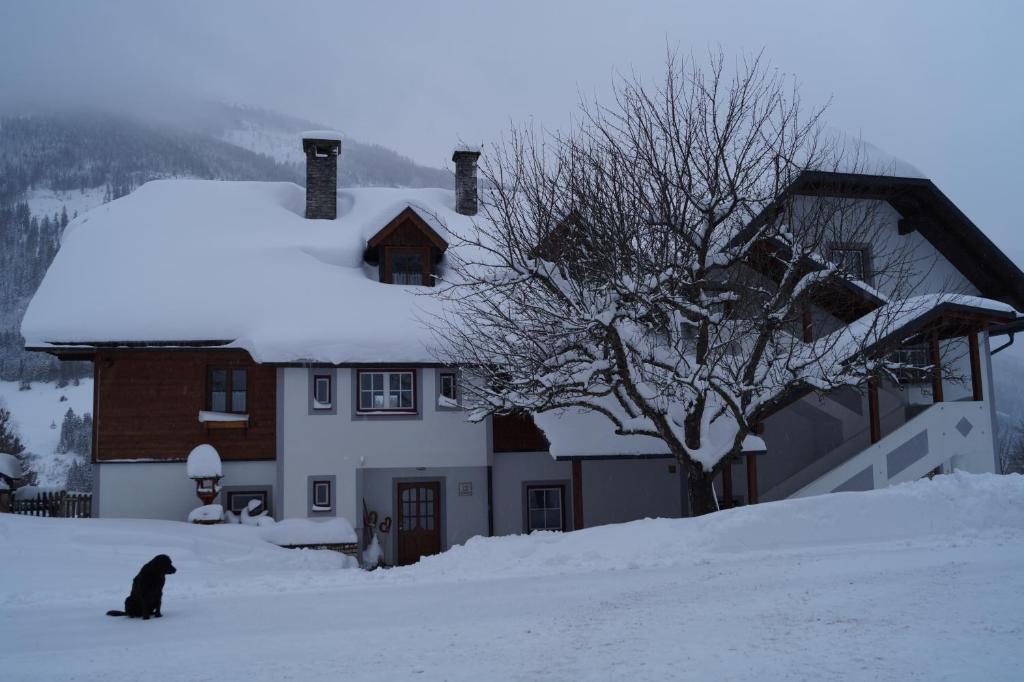 Biobauernhof Spieszschweiger - 3