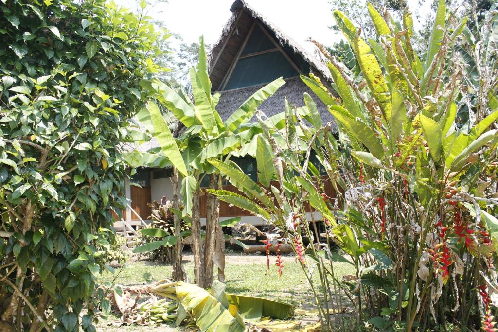 Paradise Amazon Tambopata Ecolodge - 2