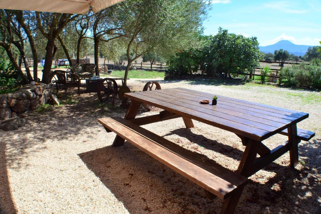 Agriturismo Pira Pinta photo