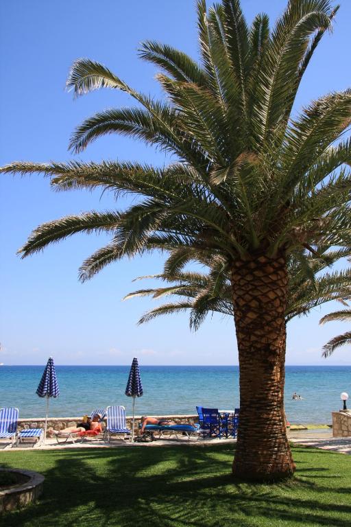 Zakantha Beach — Beach in Argassi, Ionian Islands