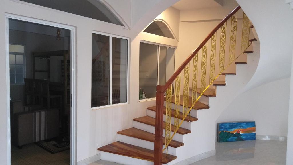 3. 파노라마 그린 ..