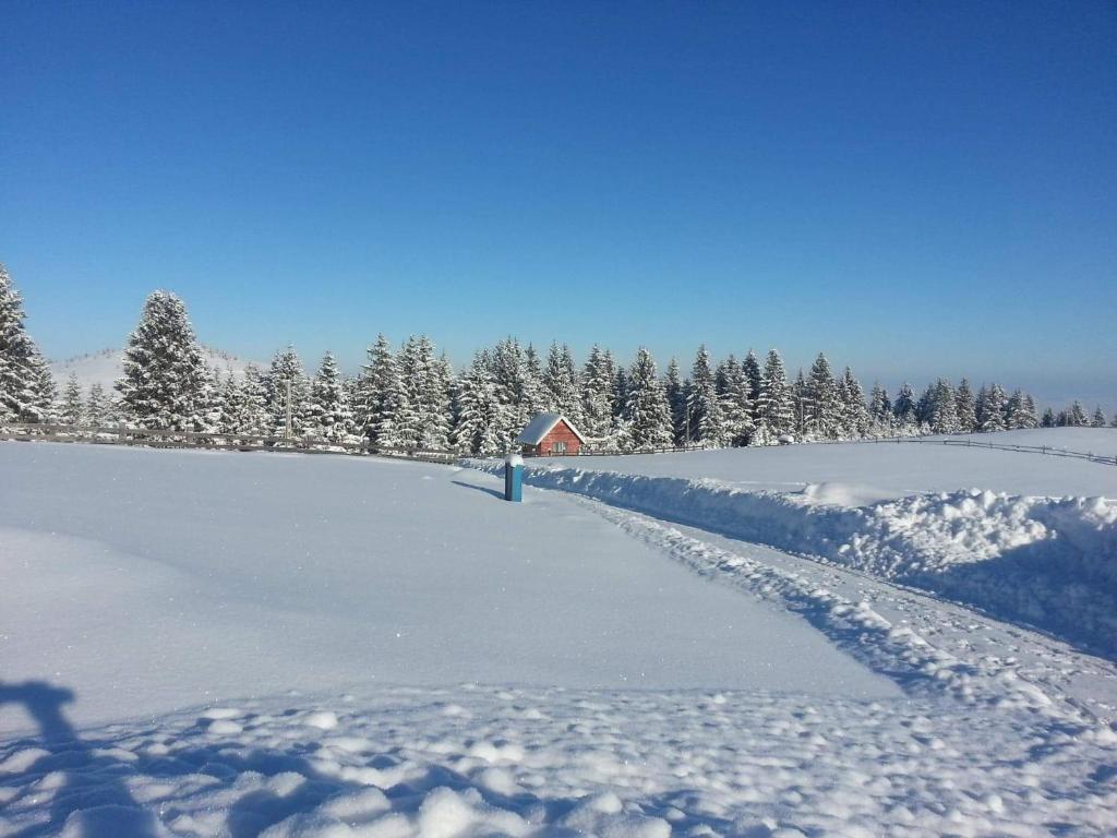 Pensiunea Turistica Valari photo