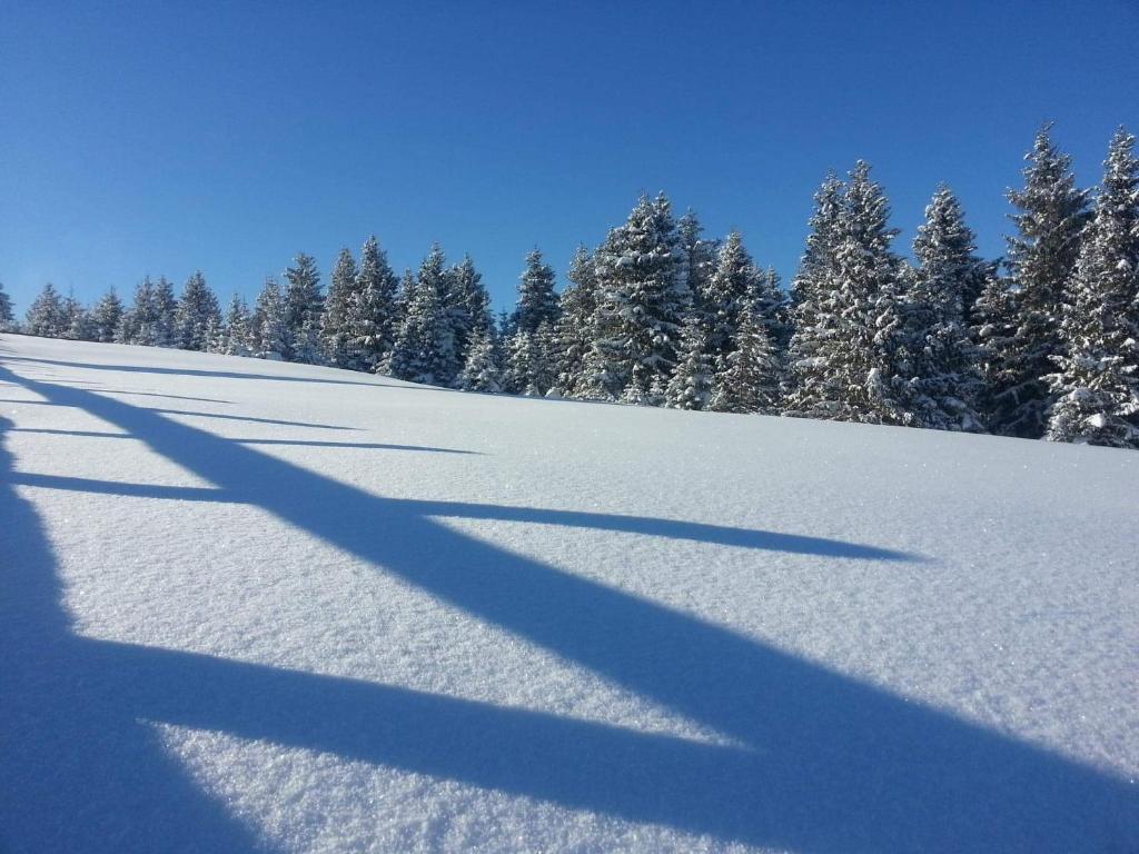 Pensiunea Turistica Valari photo