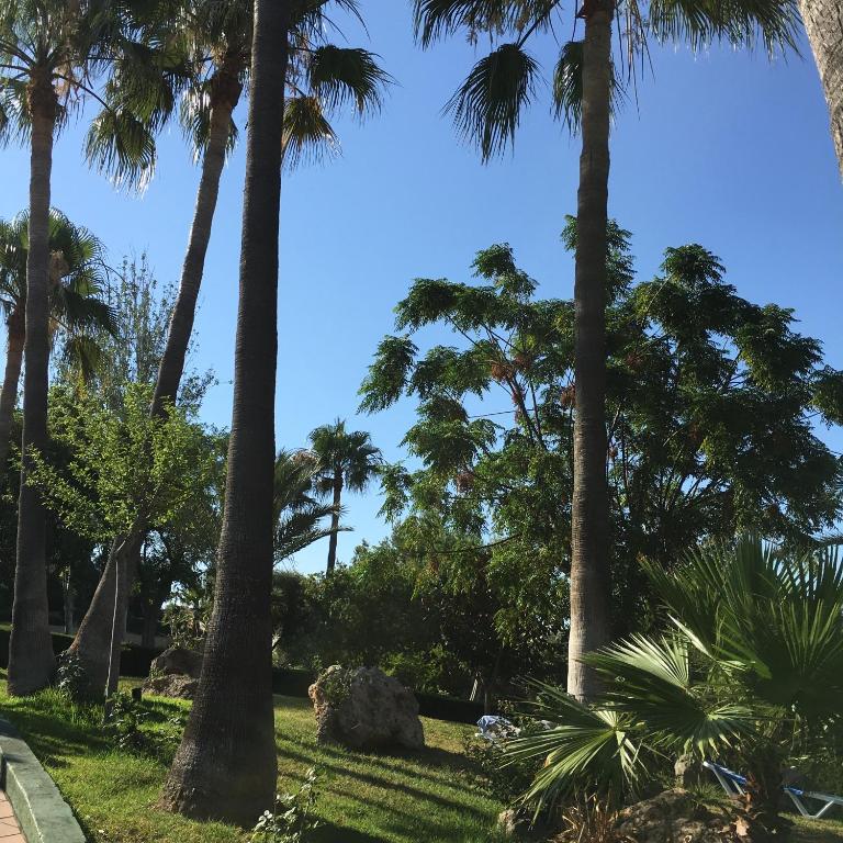 Hotel Club Cala Romani — Calas de Mallorca, Balearic Islands