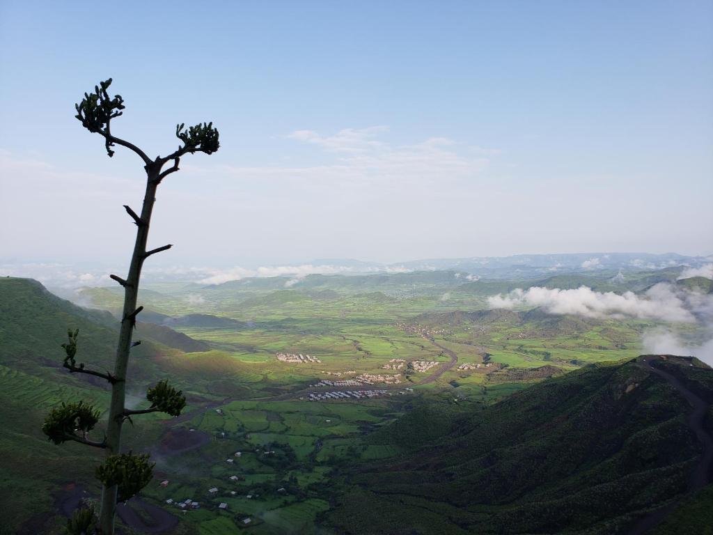 Top Twelve Hotel - Lalibela photo