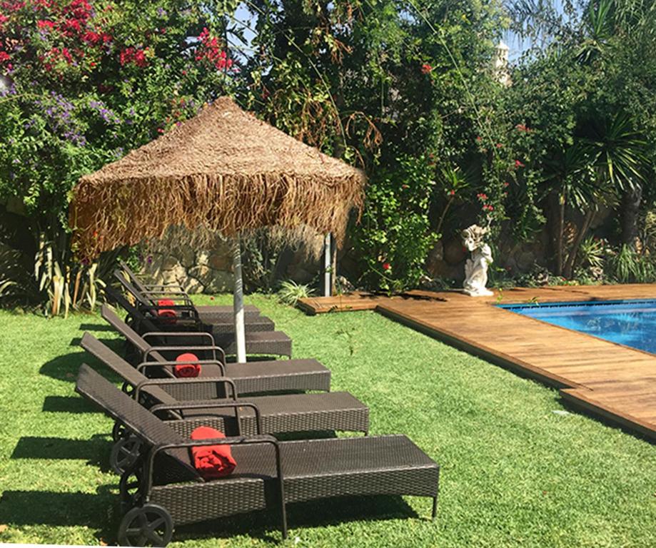Villa de Lujo con Jardines y Piscina photo