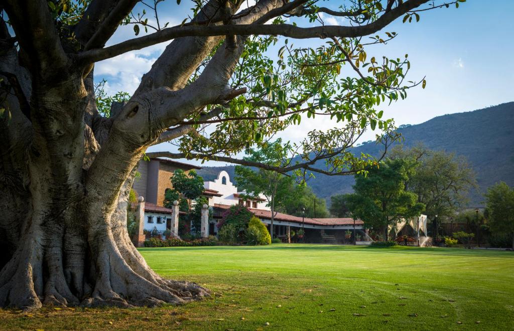 Hacienda La Moreda Hotel Boutique & Spa photo