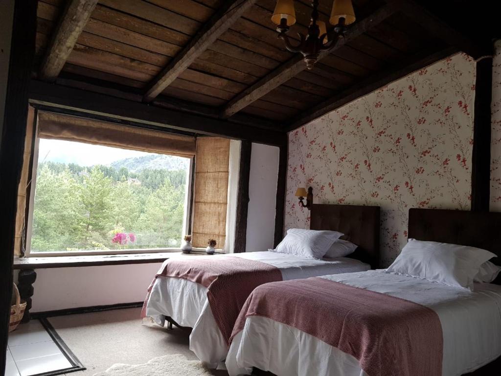 The Patagonian Lodge photo