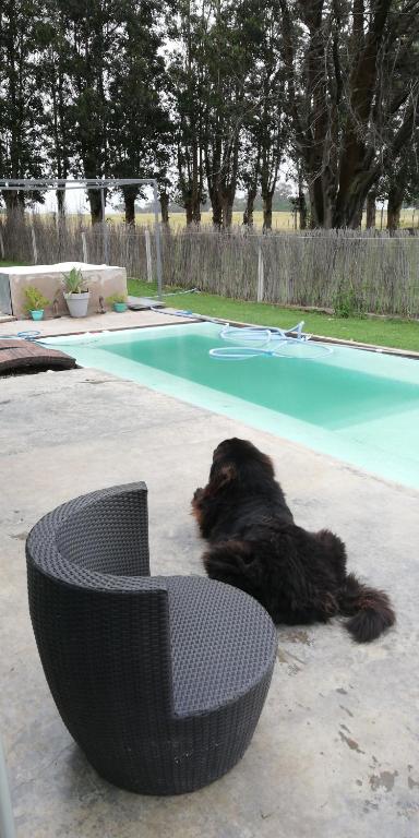 Barrancas de San benito barrio privado - 1