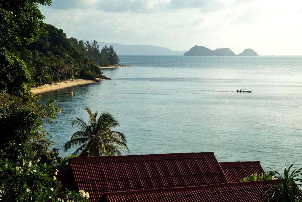 View