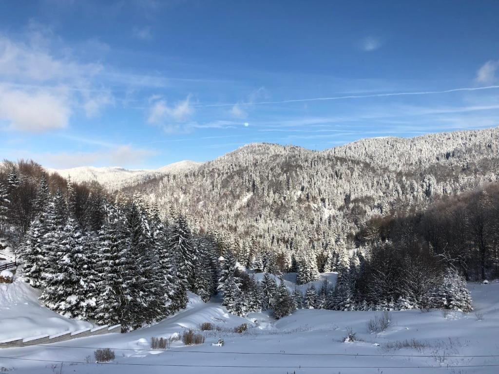 Vila Nina Kopaonik - 2