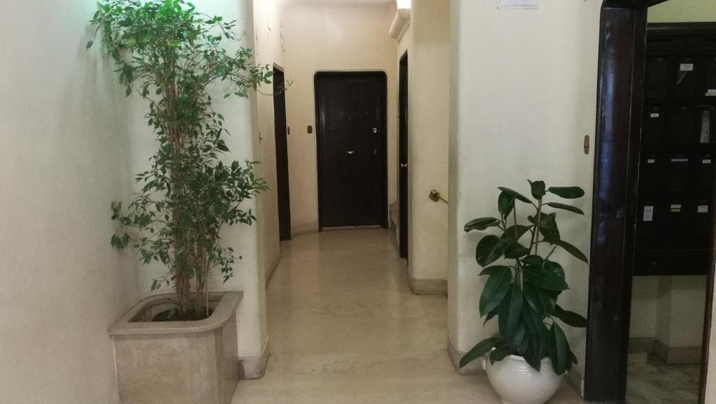 Two Chic Guesthouse photo