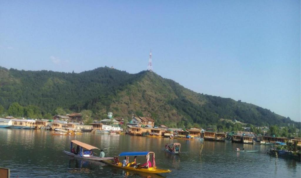View