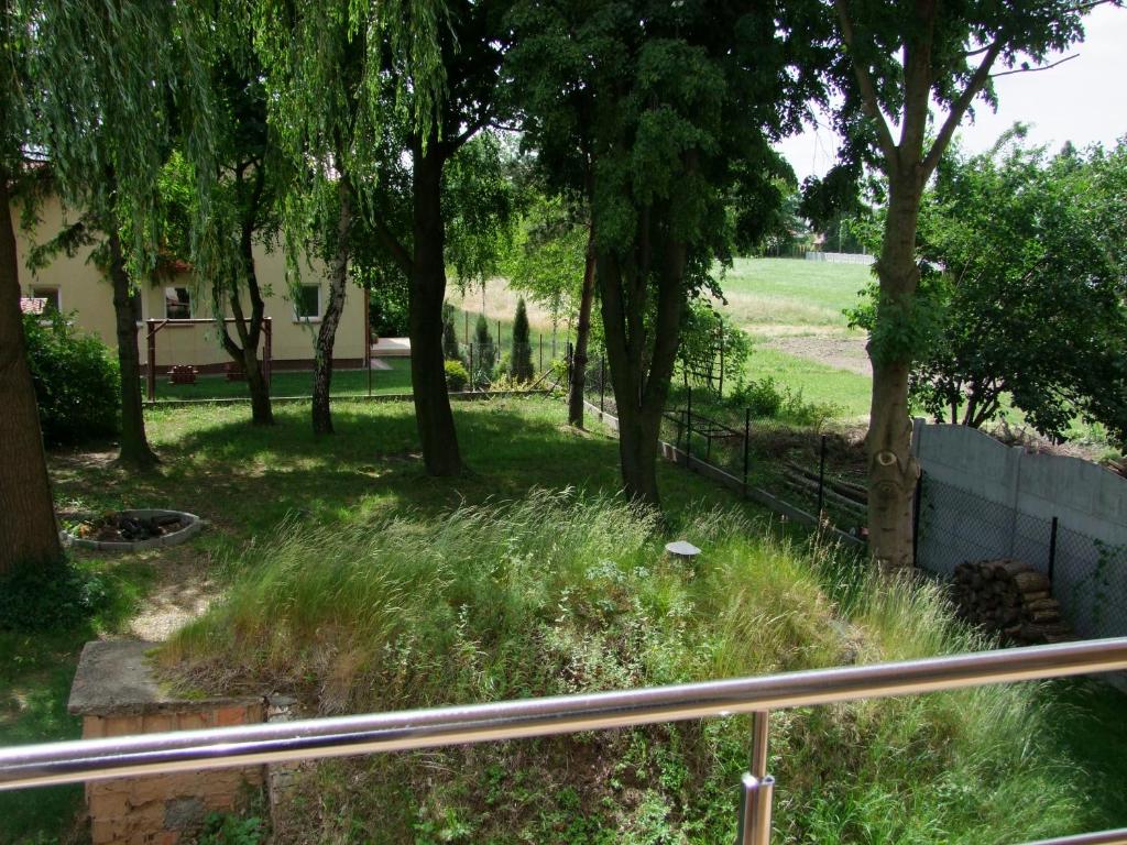 Widok