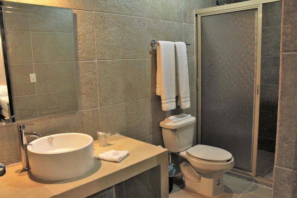 Hotel Virreyes - 3