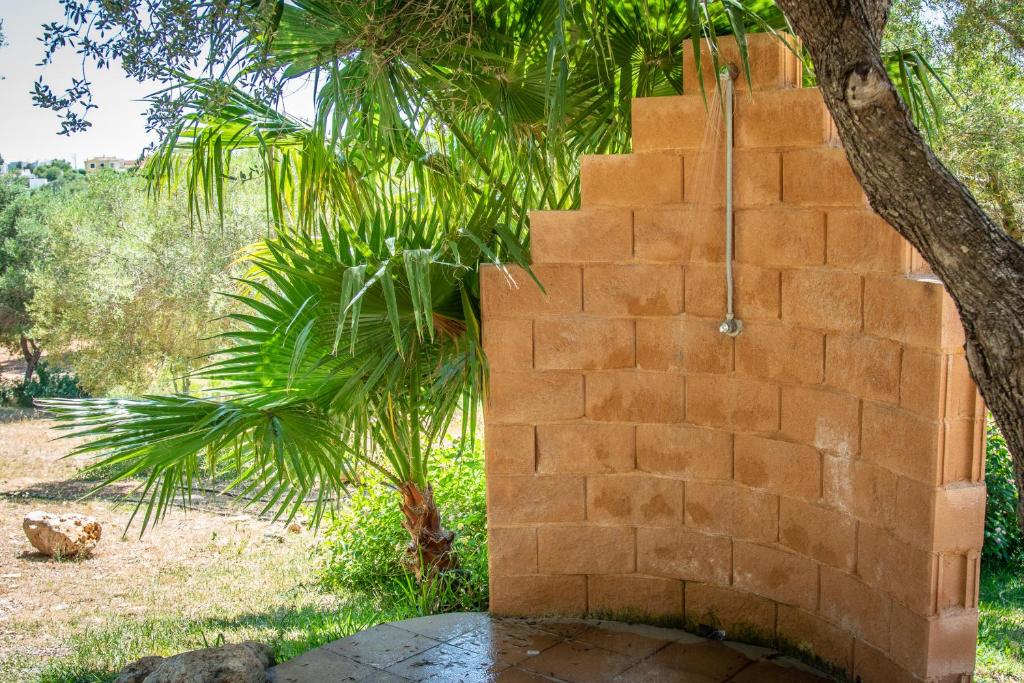 Hotel Club Cala Romani — Calas de Mallorca, Balearic Islands