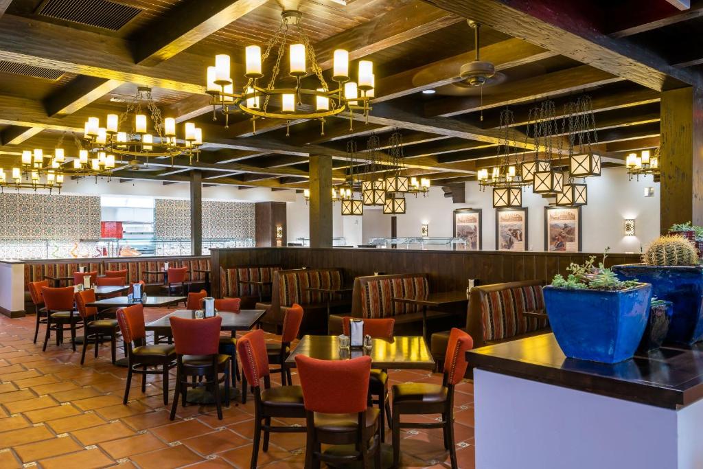 お料理のイメージ