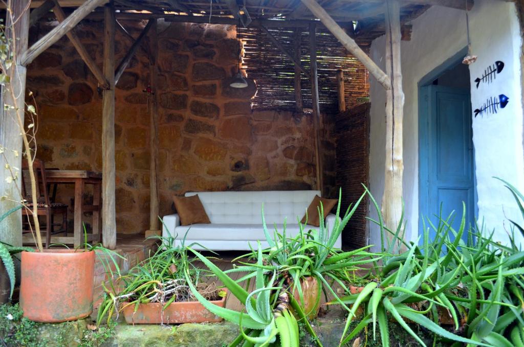 Albahaca Hospedaje Tienda photo