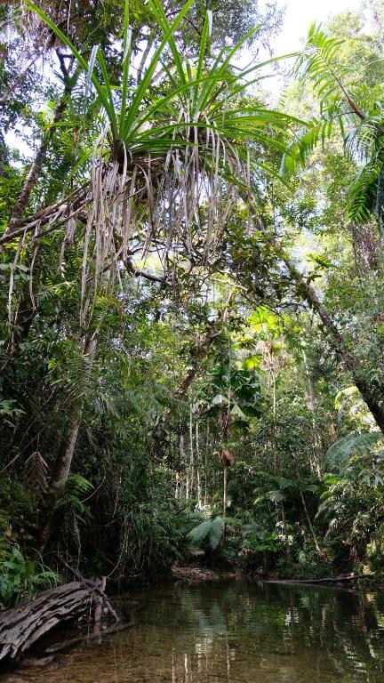 Daintree Manor B&B photo