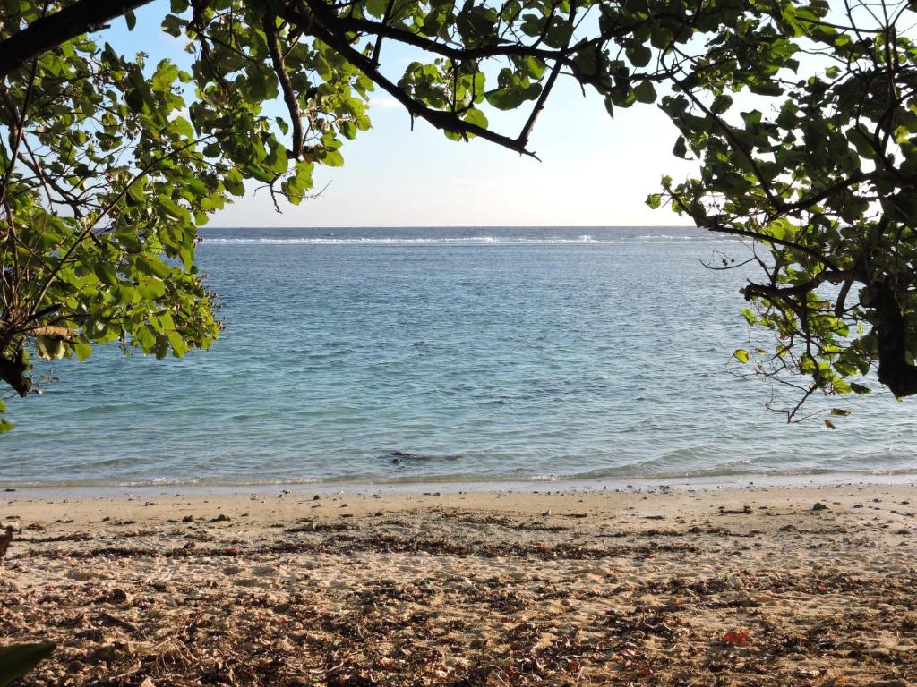 Moana Oasis Villa - Rarotonga photo