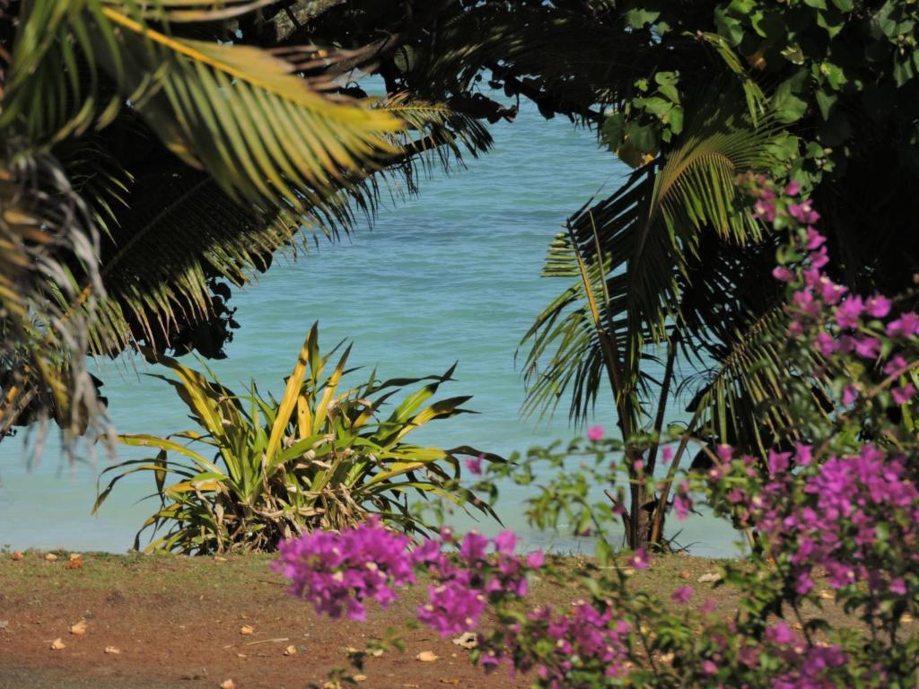 Moana Oasis Villa - Rarotonga photo