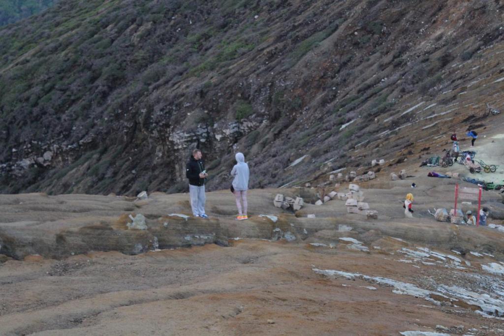 Sports and activities